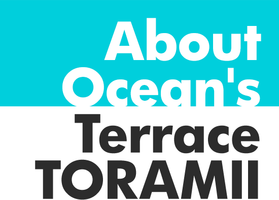 About Ocean's Terrace TRAMII